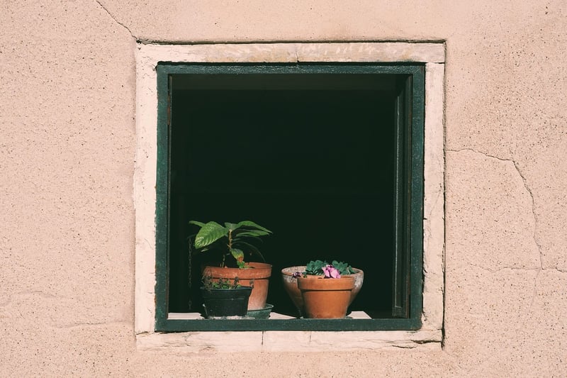 Window Sill Gardening